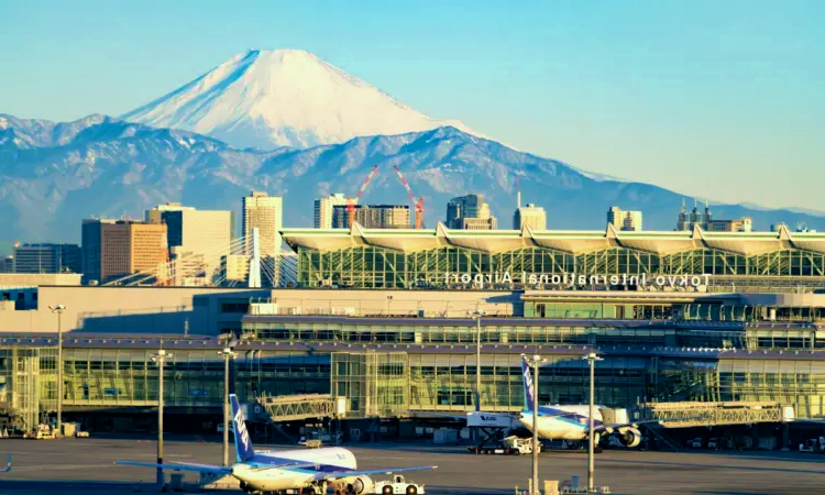 Tokyo internasjonale flyplass