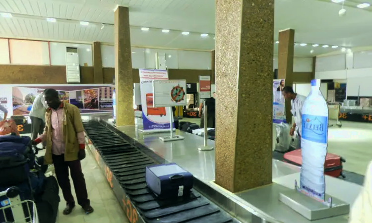 Diori Hamani internasjonale lufthavn